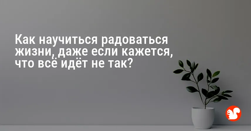 Как научиться радоваться жизни, даже если кажется, что всё идёт не так?