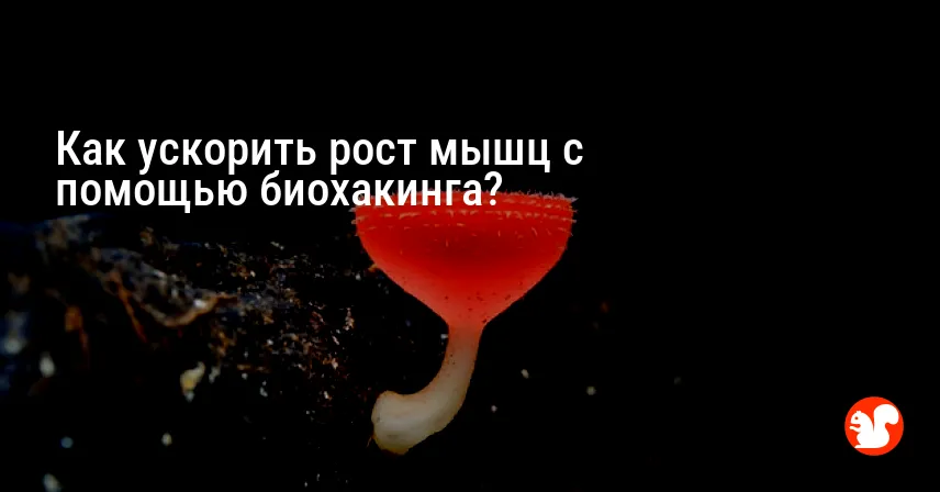 Как ускорить рост мышц с помощью биохакинга?