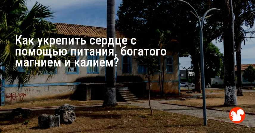 Как укрепить сердце с помощью питания, богатого магнием и калием?