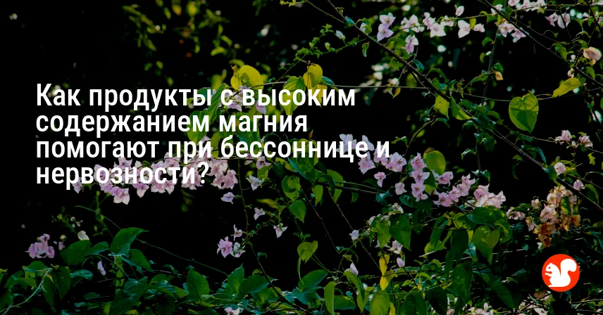 Как продукты с высоким содержанием магния помогают при бессоннице и нервозности?