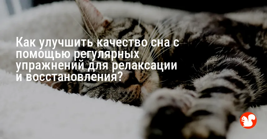 Как улучшить качество сна с помощью регулярных упражнений для релаксации и восстановления?