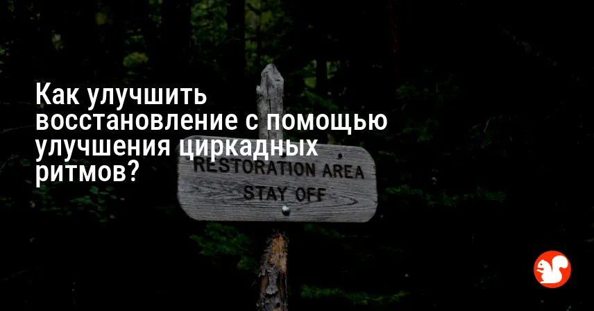 Как улучшить восстановление с помощью улучшения циркадных ритмов?