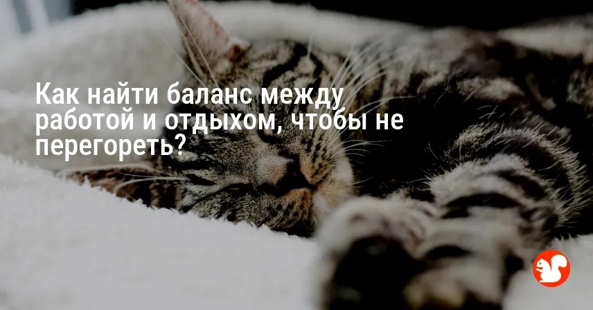 Как найти баланс между работой и отдыхом, чтобы не перегореть?