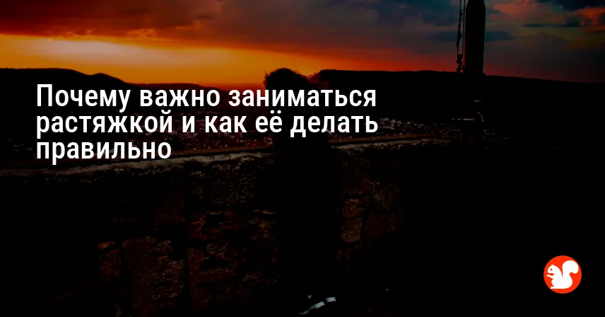 Почему важно заниматься растяжкой и как её делать правильно