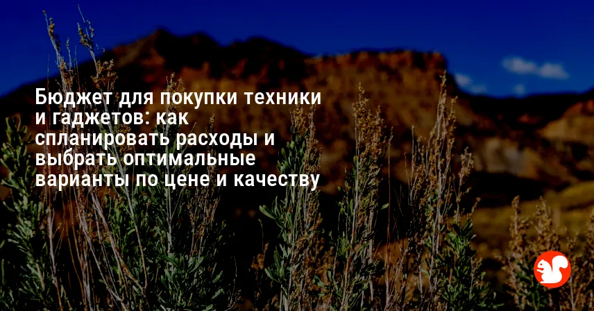 Бюджет для покупки техники и гаджетов: как спланировать расходы и выбрать оптимальные варианты по цене и качеству