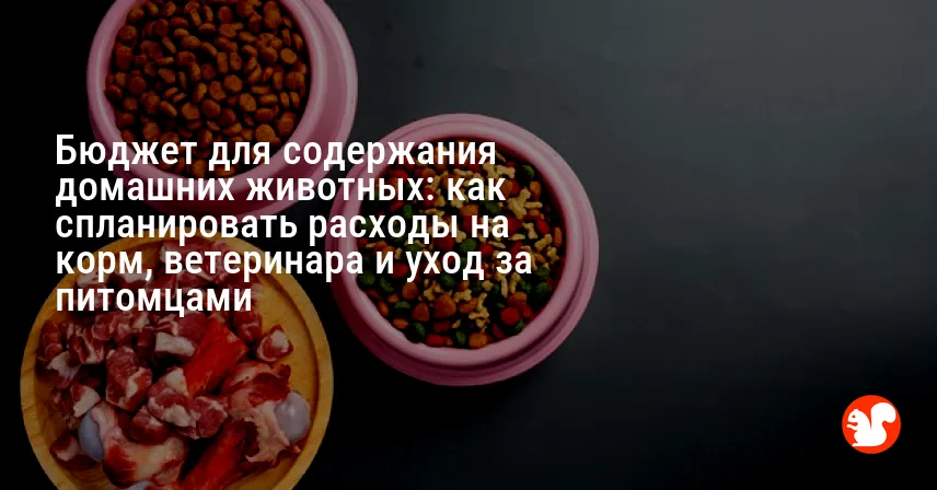Бюджет для содержания домашних животных: как спланировать расходы на корм, ветеринара и уход за питомцами