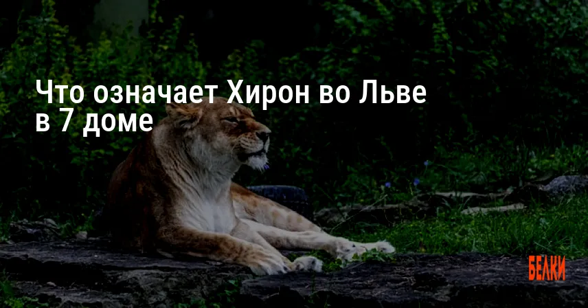 Что означает Хирон во Льве в 7 доме