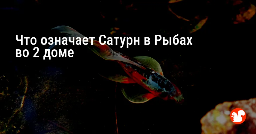 Что означает Сатурн в Рыбах во 2 доме