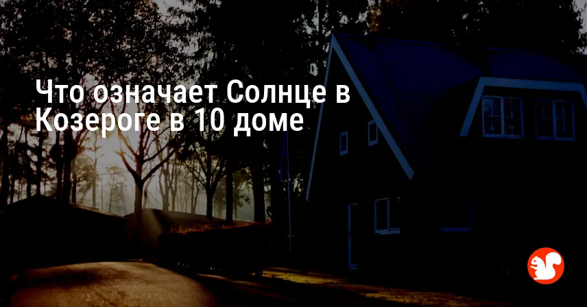 Что означает Солнце в Козероге в 10 доме