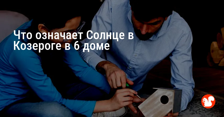 Что означает Солнце в Козероге в 6 доме
