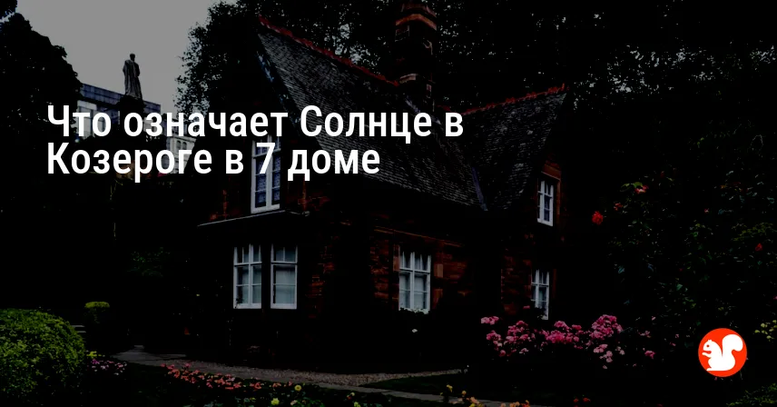 Что означает Солнце в Козероге в 7 доме