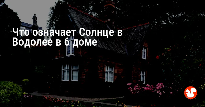 Что означает Солнце в Водолее в 6 доме
