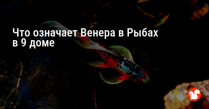 Что означает Венера в Рыбах в 9 доме