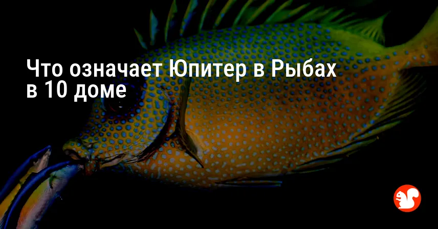 Что означает Юпитер в Рыбах в 10 доме