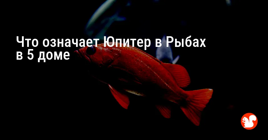 Что означает Юпитер в Рыбах в 5 доме