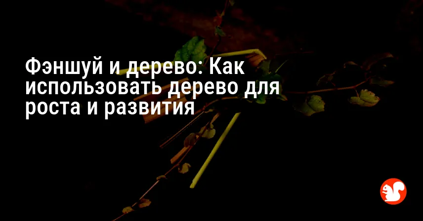 Фэншуй и дерево: Как использовать дерево для роста и развития