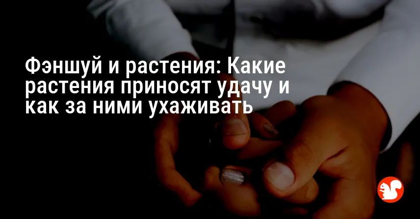 Фэншуй и растения: Какие растения приносят удачу и как за ними ухаживать