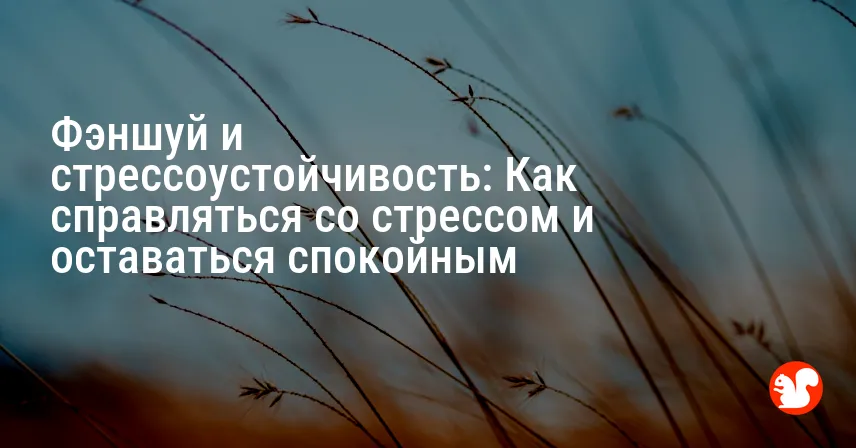 Фэншуй и стрессоустойчивость: Как справляться со стрессом и оставаться спокойным