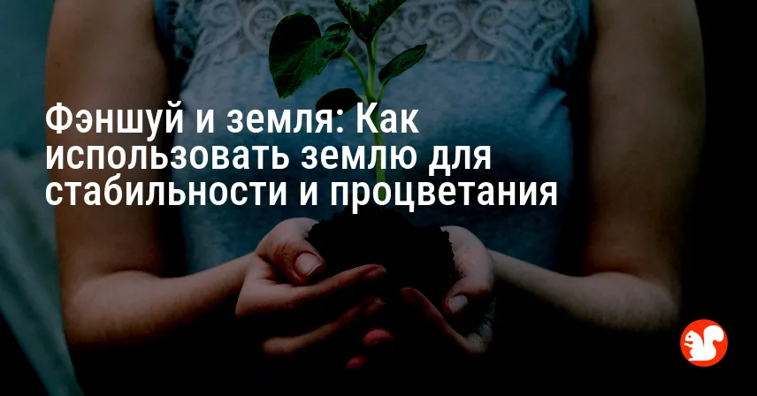Фэншуй и земля: Как использовать землю для стабильности и процветания