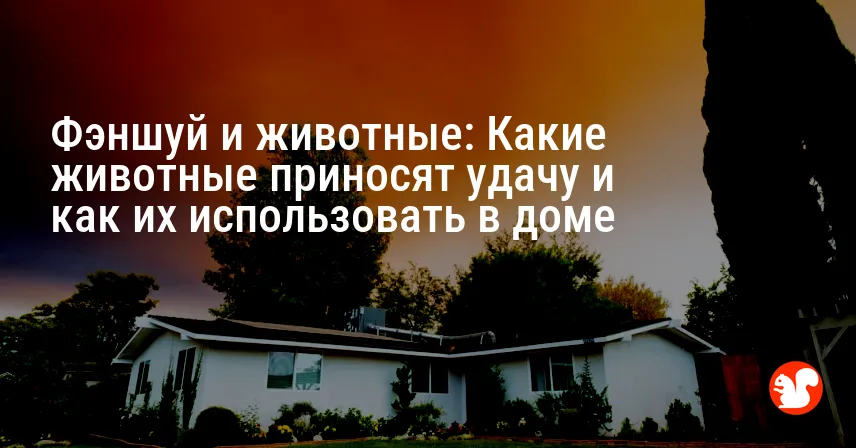 Фэншуй и животные: Какие животные приносят удачу и как их использовать в доме