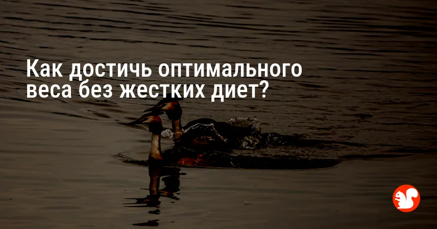 Как достичь оптимального веса без жестких диет?
