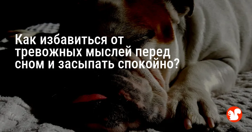 Как избавиться от тревожных мыслей перед сном и засыпать спокойно?