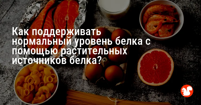 Как поддерживать нормальный уровень белка с помощью растительных источников белка?