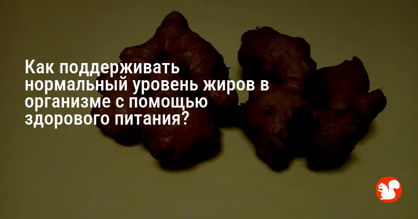 Как поддерживать нормальный уровень жиров в организме с помощью здорового питания?