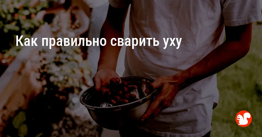 Как правильно сварить уху