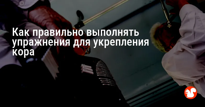 Как правильно выполнять упражнения для укрепления кора