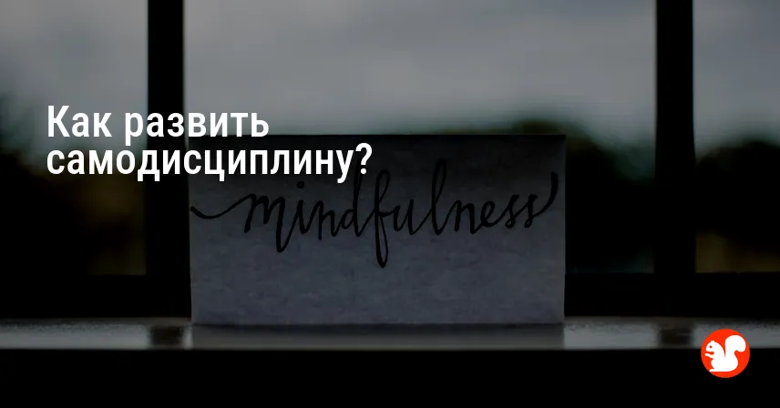 Как развить самодисциплину?