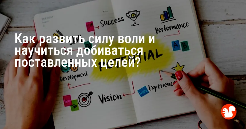 Как развить силу воли и научиться добиваться поставленных целей?