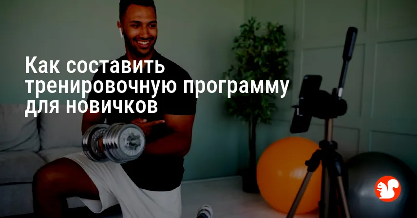 Как составить тренировочную программу для новичков