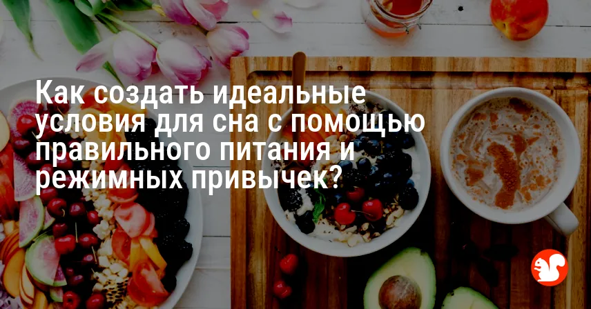 Как создать идеальные условия для сна с помощью правильного питания и режимных привычек?