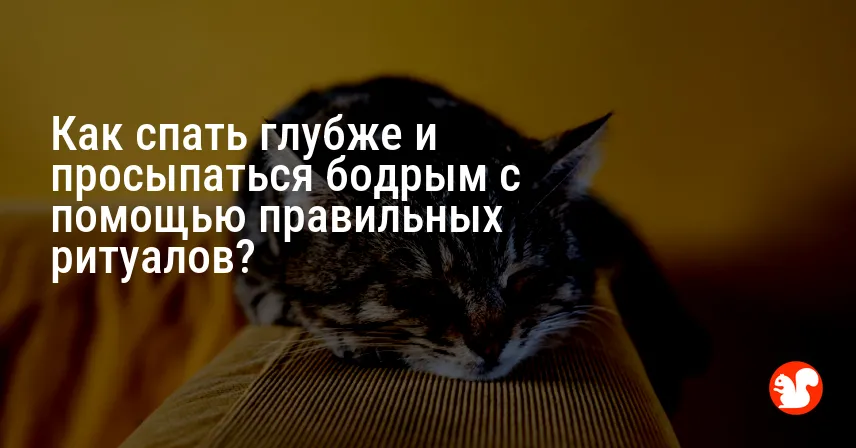 Как спать глубже и просыпаться бодрым с помощью правильных ритуалов?