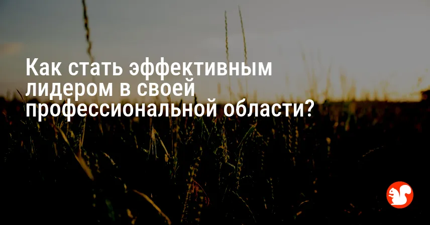 Как стать эффективным лидером в своей профессиональной области?