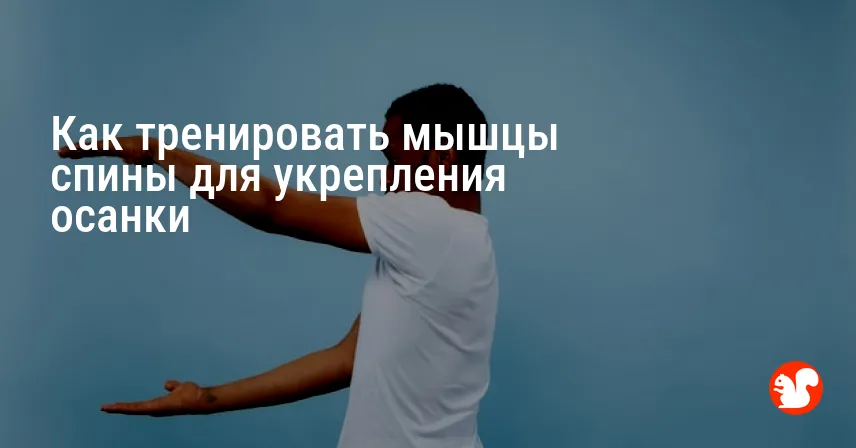 Как тренировать мышцы спины для укрепления осанки