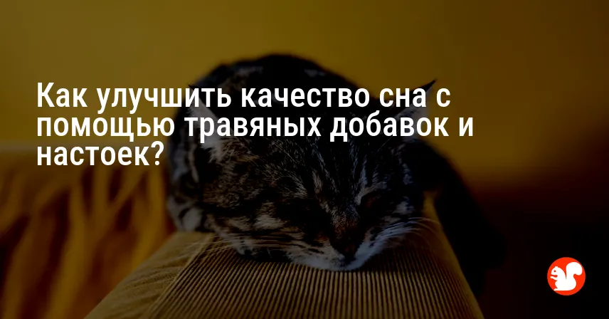 Как улучшить качество сна с помощью травяных добавок и настоек?