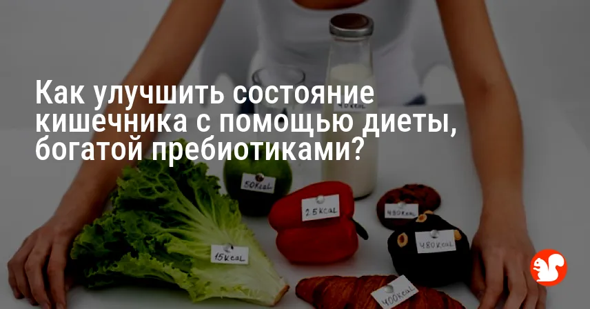 Как улучшить состояние кишечника с помощью диеты, богатой пребиотиками?