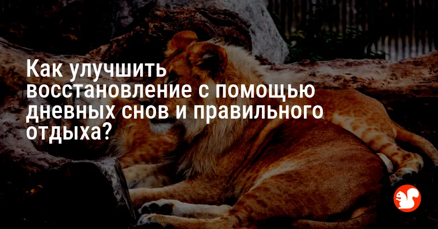 Как улучшить восстановление с помощью дневных снов и правильного отдыха?