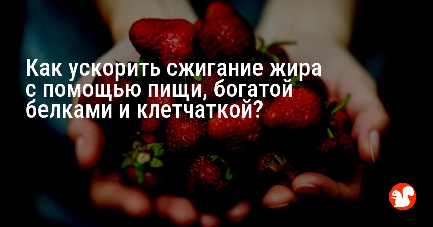 Как ускорить сжигание жира с помощью пищи, богатой белками и клетчаткой?