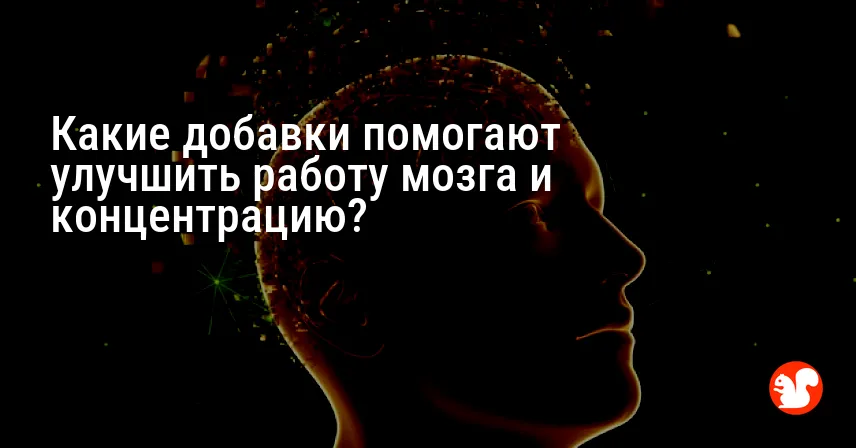 Какие добавки помогают улучшить работу мозга и концентрацию?