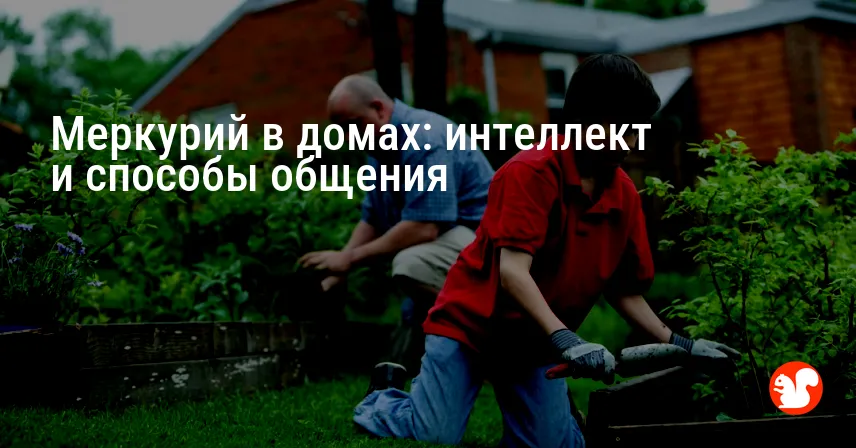 Меркурий в домах: интеллект и способы общения