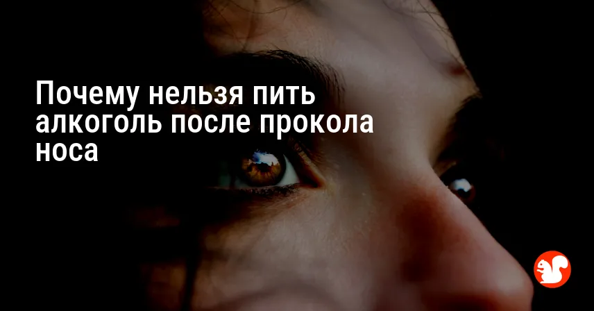 Почему нельзя пить алкоголь после прокола носа