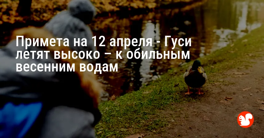 Примета на 12 апреля — Гуси летят высоко – к обильным весенним водам