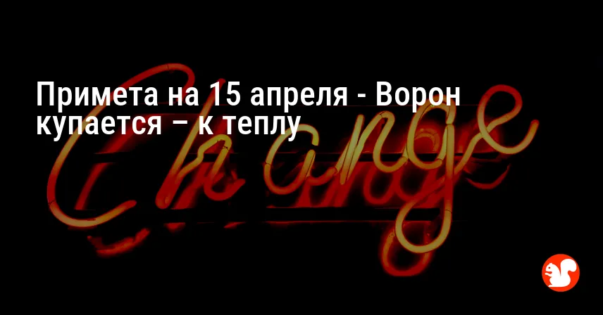 Примета на 15 апреля — Ворон купается – к теплу