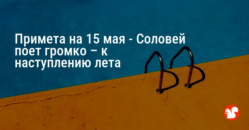 Примета на 15 мая — Соловей поет громко – к наступлению лета