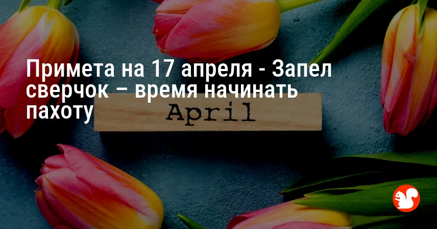 Примета на 17 апреля — Запел сверчок – время начинать пахоту