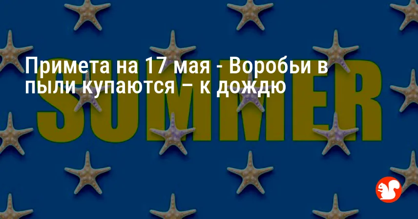 Примета на 17 мая — Воробьи в пыли купаются – к дождю