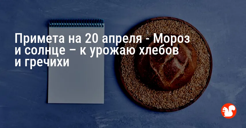 Примета на 20 апреля — Мороз и солнце – к урожаю хлебов и гречихи